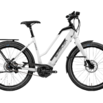 Fahrrad Simplon Kagu Bosch