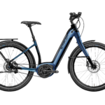 Fahrrad Simplon Kagu Bosch Uni