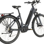 Fahrrad Simplon E-Triton PT5