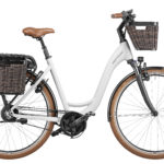 Fahrrad Riese und Mueller Swing3