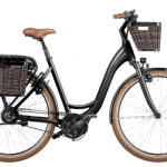 Fahrrad Riese und Mueller Swing3