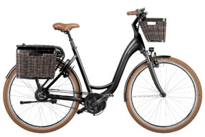 Fahrrad Riese und Mueller Swing3