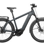 Fahrrad Riese und Mueller Charger3