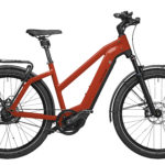 Fahrrad Riese und Mueller Charger3 Mixte