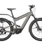 Fahrrad Riese und Mueller Superdelite