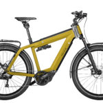 Fahrrad Riese und Mueller Supercharger2