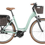 Fahrrad Riese und Mueller Swing3