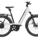 Fahrrad Riese und Mueller Nevo3