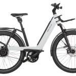 Fahrrad Riese und Mueller Nevo3