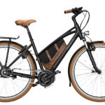 Fahrrad Riese und Mueller Cruiser