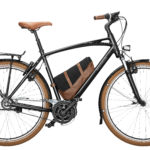 Fahrrad Riese und Mueller Cruiser