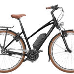 Fahrrad Riese und Mueller Cruiser
