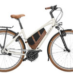 Fahrrad Riese und Mueller Cruiser