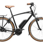 Fahrrad Riese und Mueller Cruiser