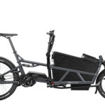 Fahrrad Riese und Mueller Load 60