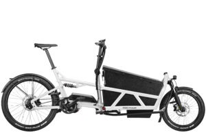 Fahrrad Riese und Mueller Load 60