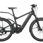 Fahrrad Riese und Mueller Delite