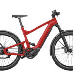 Fahrrad Riese und Mueller Delite urban