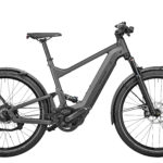 Fahrrad Riese und Mueller Delite urban