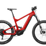 Fahrrad Riese und Mueller Delite mountain