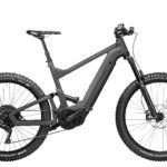 Fahrrad Riese und Mueller Delite mountain