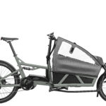 Fahrrad Riese und Mueller Load 60