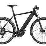 Fahrrad Riese und Mueller Roadster