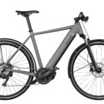 Fahrrad Riese und Mueller Roadster