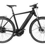 Fahrrad Riese und Mueller Roadster