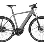 Fahrrad Riese und Mueller Roadster