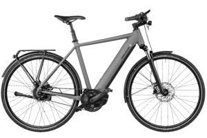 Fahrrad Riese und Mueller Roadster