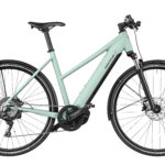 Fahrrad Riese und Mueller Roadster Mixte