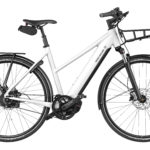 Fahrrad Riese und Mueller Roadster Mixte