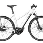 Fahrrad Riese und Mueller Roadster Mixte