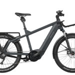 Fahrrad Riese und Mueller Multicharger