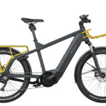 Fahrrad Riese und Mueller Multicharger