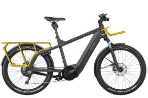 Fahrrad Riese und Mueller Multicharger