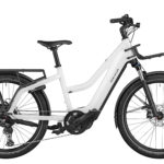 Fahrrad Riese und Mueller Multicharger Mixte