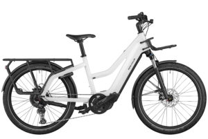 Fahrrad Riese und Mueller Multicharger Mixte