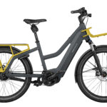 Fahrrad Riese und Mueller Multicharger Mixte